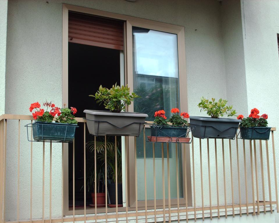 Guest House Cuore Del Friuli Udine Exterior photo